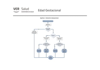 Edad Gestacional
 