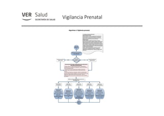 Vigilancia Prenatal
 