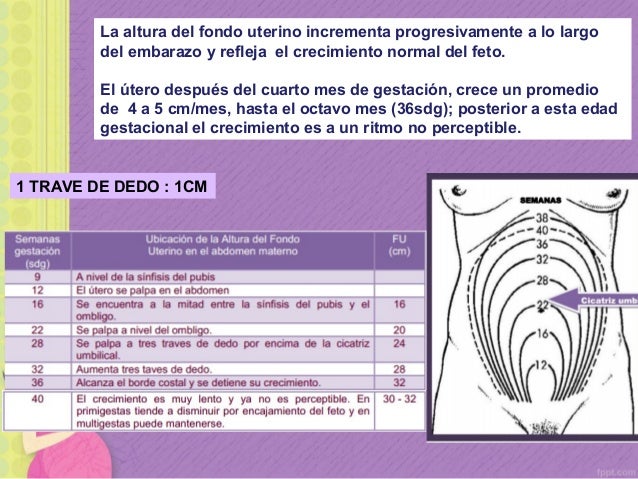 CONTROL PRENATAL