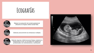 Ecografías
Mejorar la evaluación de la edad gestacional
utilizando la longitud céfalo-caudal fetal.
Detectar precozmente los embarazos múltiples
Detectar algunas malformaciones fetales mediante la
translucencia nucal, la cual debe ser medida por
profesionales con entrenamiento y certificación.
30
 