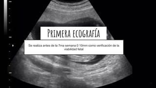 Primera ecografía
31
Se realiza antes de la 7ma semana 0 10mm como verificación de la
viabilidad fetal
 