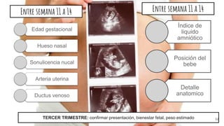 Entre semana 11 a 14
Edad gestacional
Hueso nasal
Sonulicencia nucal
Arteria uterina
Ductus venoso
Entre semana 11 a 14
Índice de
liquido
amniótico
Posición del
bebe
Detalle
anatomico
TERCER TRIMESTRE: confirmar presentación, bienestar fetal, peso estimado 32
 