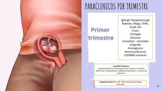 PARACLINICOS POR TRIMESTRE
38
 