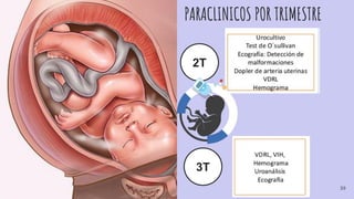 PARACLINICOS POR TRIMESTRE
2T
3T
39
 