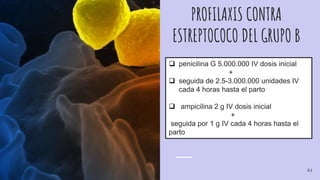 PROFILAXIS CONTRA
ESTREPTOCOCO DEL GRUPO B
 penicilina G 5.000.000 IV dosis inicial
+
 seguida de 2.5-3.000.000 unidades IV
cada 4 horas hasta el parto
 ampicilina 2 g IV dosis inicial
+
seguida por 1 g IV cada 4 horas hasta el
parto
61
 
