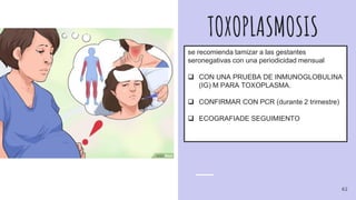 TOXOPLASMOSIS
se recomienda tamizar a las gestantes
seronegativas con una periodicidad mensual
 CON UNA PRUEBA DE INMUNOGLOBULINA
(IG) M PARA TOXOPLASMA.
 CONFIRMAR CON PCR (durante 2 trimestre)
 ECOGRAFIADE SEGUIMIENTO
62
 