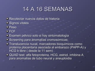 1144 AA 1166 SSEEMMAANNAASS 
RReeccoolleeccttaarr nnuueevvooss ddaattooss ddee hhiissttoorriiaa 
SSiiggnnooss vviittaalleess 
PPeessoo 
FFCCFF 
EExxaammeenn ppééllvviiccoo ssoolloo ssii hhaayy ssiinnttoommaattoollooggííaa 
SSccrreeeenniinngg ppaarraa aannoommaallííaass ccrroommoossoommiiccaass:: 
TTrraannsslluucceenncciiaa nnuuccaall,, mmaarrccaaddoorreess bbiiooqquuíímmiiccooss ccoommoo 
pprrootteeíínnaa ppllaacceennttaarriiaa aassoocciiaaddaa aall eemmbbaarraazzoo ((PPAAPPPP--AA)) yy 
HHCCGG bb lliibbrree (( ddeessddee llaa 1111 sseemm)) 
QQUUAADD tteesstt:: aallffaa ffeettoopprrootteeiinnaa,, HHCCGG,, eessttrriiooll,, iinnhhiibbiinnaa AA 
ppaarraa aannoommaallííaass ddee ttuubboo nneeuurraall yy aanneeuuppllooiiddiiaa 
 