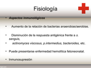 Fisiología
• Aspectos inmunológicos
•

Aumento de la relación de bacterias anaerobias/aerobias.

•

Disminución de la respuesta antigénica frente a s.
sanguis,
•
actinomyces viscosus, p.intermedius, bacteroides, etc.
• Puede presentarse enfermedad hemolítica fetoneonatal.
• Inmunosupresión

 