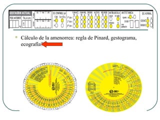  Cálculo de la amenorrea: regla de Pinard, gestograma,
ecografía???
 