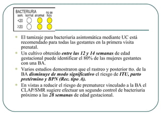  El tamizaje para bacteriuria asintomática mediante UC está
recomendado para todas las gestantes en la primera visita
prenatal.
 Un cultivo obtenido entre las 12 y 14 semanas de edad
gestacional puede identificar el 80% de las mujeres gestantes
con una BA.
 Varios estudios demostraron que el rastreo y posterior tto. de la
BA disminuye de modo significativo el riesgo de ITU, parto
pretérmino y BPN (Rec. tipo A).
 En vistas a reducir el riesgo de prematurez vinculado a la BA el
CLAP/SMR sugiere efectuar un segundo control de bacteriuria
próximo a las 28 semanas de edad gestacional.
 