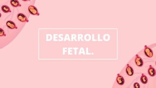 DESARROLLO
FETAL.
 