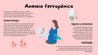Anemia ferropénica
La anemia por deficiencia de hierro, también
conocida como anemia ferropénica, es un tipo de
trastorno frecuente que tiene lugar cuando no
hay suficiente cantidad de hierro en el organismo.
Tal y como indican estudios, este evento fisiológico
afecta hasta al 30 % de las embarazadas, pues el
cuerpo de la madre utiliza más cantidad de este
mineral para generar más sangre y así poder
transportar el oxígeno necesario al feto. Es normal
tener una anemia leve durante la gestación, pero las
variantes moderadas y severas son un claro indicativo
de que se necesita asistencia médica.
Los signos y síntomas de este
estado incluyen debilidad, fatiga,
mareos, dolor de cabeza, piel
pálida, falta de aire y más. En los
casos más graves, se puede
experimentar presión arterial baja,
latidos del corazón irregulares y
dificultad para concentrarse.
El consumo de vitaminas prenatales (siempre bajo asistencia
médica) y la alimentación variada y rica en hierro son los
mejores aliados para combatir la anemia ferropénica durante
el embarazo.
Epidemiologia
Signos y sintomas
manejo
 