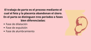 Fase de dilatación
Fase de expulsión
Fase de alumbramiento
El trabajo de parto es el proceso mediante el
cual el feto y la placenta abandonan el útero.
En el parto se distinguen tres periodos o fases
bien diferenciadas:
 