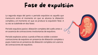 Fase de expulsión
La segunda etapa del parto o periodo expulsivo es aquella que
transcurre entre el momento en que se alcanza la dilatación
completa y el momento en que se produce la expulsión fetal. A
su vez se subdivide en dos fases:
Periodo expulsivo pasivo: dilatación completa del cuello antes o
en ausencia de contracciones involuntarias de expulsivo.
Periodo explosivo activo: cuando el feto es visible o existen
contracciones de expulsivo en presencia de dilatación completa o
pujos maternos en presencia de dilatación completa con usencia
de contracciones de expulsivo.
 