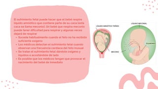 Sucede habitualmente cuando el feto no ha recibido
suficiente oxígeno
Los médicos detectan el sufrimiento fetal cuando
observan una frecuencia cardíaca del feto inusual
Se tratan el sufrimiento fetal dándole oxígeno y
líquidos o acostándole de lado
Es posible que los médicos tengan que provocar el
nacimiento del bebé de inmediato
El sufrimiento fetal puede hacer que el bebé respire
líquido amniótico que contiene parte de su caca (esta
caca se llama meconio). Un bebé que respira meconio
puede tener dificultad para respirar y algunas veces
dejará de respirar
 