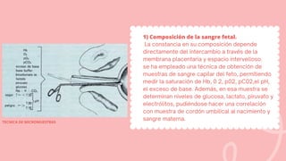 1) Composición de la sangre fetal.
La constancia en su composición depende
directamente del intercambio a través de la
membrana placentaria y espacio intervelloso.
se ha empleado una técnica de obtención de
muestras de sangre capilar del feto, permitiendo
medir la saturación de Hb, 0 2, p02, pC02,el pH,
el exceso de base. Además, en esa muestra se
determinan niveles de glucosa, lactato, piruvato y
electrólitos, pudiéndose hacer una correlación
con muestra de cordón umbilical al nacimiento y
sangre materna.
TECNICA DE MICROMUESTRAS
 