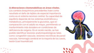 2) Alteraciones citometabólicas en áreas vitales.
Los cambios bioquímicos precedentes traen como
resultado el daño de tejidos de especial importancia
como es el sistema nervioso central. Su capacidad de
equilibrio depende de los sistemas enzimáticos y
metabólicos, principalmente la glucolisis, que en
comparación con el adulto es mayor, permitiendo un
mantenimiento más duradero en condiciones de
deficiencia de oxígeno. En el recién nacido, se han
podido identificar lesiones anatomopatológicas tales
como: congestión vascular, lesiones necróticas de pared
vascular, hemorragia cerebral en la mayoría de los casos,
lesión (casi traumáticas)
 