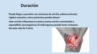 Puede llegar a persistir con síntomas de artritis, edema articular,
rigidez matutina, estos pacientes pueden desarr
ollar artritis inflamatoria crónica (como artritis reumatoide o
espondilitis seronegativa). El chikungunya puede tener síntomas
durante más de 3 años.
Duración
 