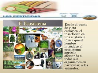 Desde el punto
de vista
ecológico, el
insecticida es
una sustancia
tóxica que el
hombre
introduce al
ecosistema
agrícola
afectando a
todos sus
organismos en
particular, a los
animales.
 