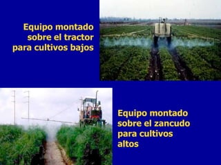 Equipo montado sobre el tractor para cultivos bajos Equipo montado sobre el zancudo para cultivos altos 
