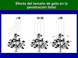 Efecto del tamaño de gota en la penetración foliar 