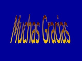 Muchas Gracias 