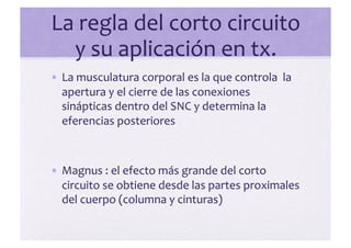 La	
  regla	
  del	
  corto	
  circuito	
  
   y	
  su	
  aplicación	
  en	
  tx.	
  
• La	
  musculatura	
  corporal	
  es	
  la	
  que	
  controla	
  	
  la	
  
  apertura	
  y	
  el	
  cierre	
  de	
  las	
  conexiones	
  
  sinápticas	
  dentro	
  del	
  SNC	
  y	
  determina	
  la	
  
  eferencias	
  posteriores	
  



• Magnus	
  :	
  el	
  efecto	
  más	
  grande	
  del	
  corto	
  
  circuito	
  se	
  obtiene	
  desde	
  las	
  partes	
  proximales	
  
  del	
  cuerpo	
  (columna	
  y	
  cinturas)	
  	
  	
  
 