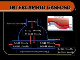 INTERCAMBIO GASEOSO Flujo a través del capilar pulmonar (Q) Ventilación alveolar (VA) Final del caplar 150 mmHg PA O 2  100mmHg PA CO 2  40mmHg PaO 2  40mmHg PaCO 2  47mmHg PvO 2  100mmHg PvCO 2  40mmHg Pa O 2  95mmHg Pa CO 2  40mmHg 