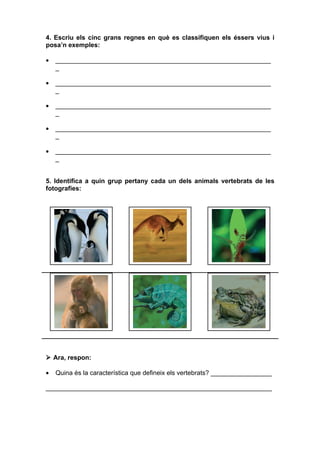 4. Escriu els cinc grans regnes en què es classifiquen els éssers vius i
posa’n exemples:

•   ____________________________________________________________
    _

•   ____________________________________________________________
    _

•   ____________________________________________________________
    _

•   ____________________________________________________________
    _

•   ____________________________________________________________
    _


5. Identifica a quin grup pertany cada un dels animals vertebrats de les
fotografies:




 Ara, respon:

•   Quina és la característica que defineix els vertebrats? _________________

_______________________________________________________________
 