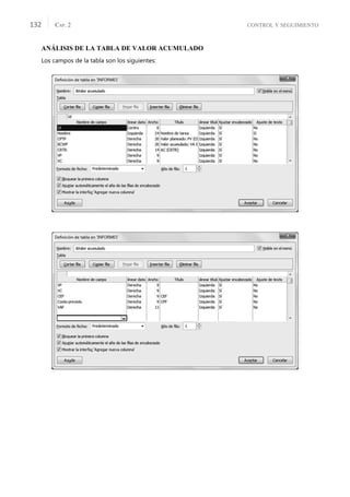 CONTROL Y SEGUIMIENTO
CAP. 2
132
ANÁLISIS DE LA TABLA DE VALOR ACUMULADO
Los campos de la tabla son los siguientes:
 
