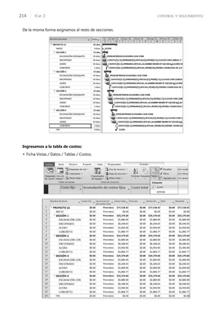 CONTROL Y SEGUIMIENTO
CAP. 2
214
De la misma forma asignamos al resto de secciones.
Ingresamos a la tabla de costos:
 Ficha Vistas / Datos / Tablas / Costos.
 