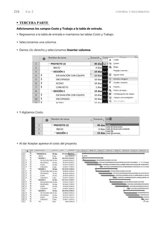 CONTROL Y SEGUIMIENTO
CAP. 2
216
• TERCERA PARTE
Adicionamos los campos Costo y Trabajo a la tabla de entrada.
 Regresamos a la tabla de entrada e insertamos las tablas Costo y Trabajo.
 Seleccionamos una columna.
 Damos clic derecho y seleccionamos Insertar columna.
 Y digitamos Costo.
 Al dar Aceptar aparece el costo del proyecto.
 
