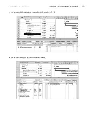 INGENIERÍA Y GESTIÓN CONTROL Y SEGUIMIENTO CON PROJECT 225
 Los recursos de la partida de excavación de la sección 2, 3 y 4.
 Los recursos en todas las partidas de encofrado.
 