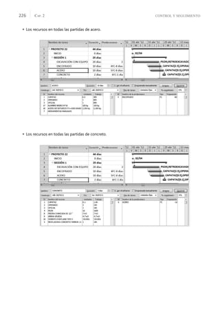CONTROL Y SEGUIMIENTO
CAP. 2
226
 Los recursos en todas las partidas de acero.
 Los recursos en todas las partidas de concreto.
 