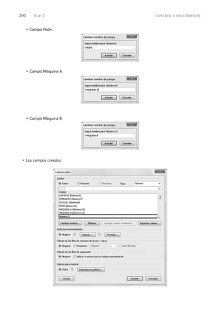CONTROL Y SEGUIMIENTO
CAP. 2
290
 Campo Peón.
 Campo Máquina A.
 Campo Máquina B.
 Los campos creados:
 