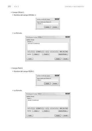 CONTROL Y SEGUIMIENTO
CAP. 2
292
 Campo Oﬁcial 1.
 Nombre del campo OFICIAL 1.
 La fórmula.
 Campo Peón1.
 Nombre del campo PEON 1.
 La fórmula.
 
