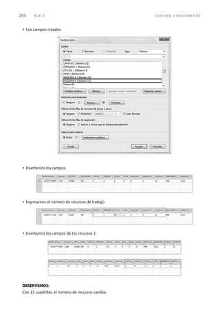CONTROL Y SEGUIMIENTO
CAP. 2
294
 Los campos creados
 Insertamos los campos.
 Ingresamos el número de recursos de trabajo.
 Insertamos los campos de los recursos 1.
OBSERVEMOS:
Con 15 cuadrillas, el número de recursos cambia.
 