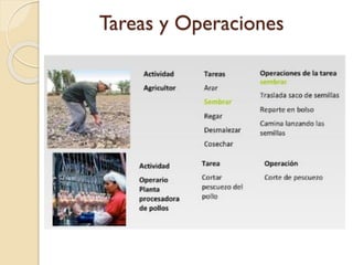 Tareas y Operaciones
 