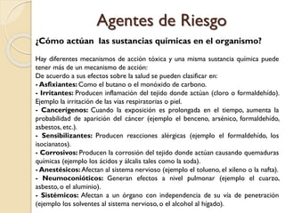 ¿Cómo actúan las sustancias químicas en el organismo?
Hay diferentes mecanismos de acción tóxica y una misma sustancia química puede
tener más de un mecanismo de acción:
De acuerdo a sus efectos sobre la salud se pueden clasificar en:
- Asfixiantes: Como el butano o el monóxido de carbono.
- Irritantes: Producen inflamación del tejido donde actúan (cloro o formaldehído).
Ejemplo la irritación de las vías respiratorias o piel.
- Cancerígenos: Cuando la exposición es prolongada en el tiempo, aumenta la
probabilidad de aparición del cáncer (ejemplo el benceno, arsénico, formaldehído,
asbestos, etc.).
- Sensibilizantes: Producen reacciones alérgicas (ejemplo el formaldehído, los
isocianatos).
- Corrosivos: Producen la corrosión del tejido donde actúan causando quemaduras
químicas (ejemplo los ácidos y álcalis tales como la soda).
- Anestésicos: Afectan al sistema nervioso (ejemplo el tolueno, el xileno o la nafta).
- Neumoconióticos: Generan efectos a nivel pulmonar (ejemplo el cuarzo,
asbesto, o el aluminio).
- Sistémicos: Afectan a un órgano con independencia de su vía de penetración
(ejemplo los solventes al sistema nervioso, o el alcohol al hígado).
Agentes de Riesgo
 
