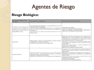 Riesgo Biológico:
Agentes de Riesgo
 