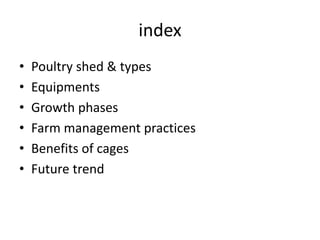 control shed rearing of poultry.pptx