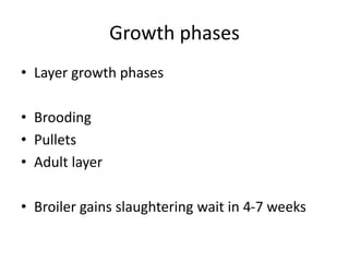 Pullet Rearing Development control shed rearing of poultry.pptx
