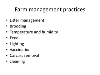 control shed rearing of poultry.pptx