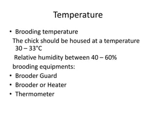 Good Temp Brooding Example control shed rearing of poultry.pptx