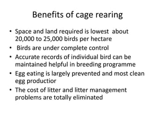 control shed rearing of poultry.pptx