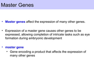 Master Genes
• Master genes affect the expression of many other genes.
• Expression of a master gene causes other genes to be
expressed, allowing completion of intricate tasks such as eye
formation during embryonic development
• master gene
• Gene encoding a product that affects the expression of
many other genes
 