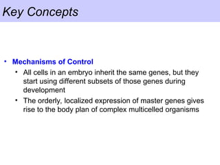 Key Concepts
• Mechanisms of Control
• All cells in an embryo inherit the same genes, but they
start using different subsets of those genes during
development
• The orderly, localized expression of master genes gives
rise to the body plan of complex multicelled organisms
 