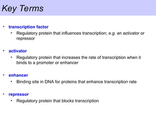 Key Terms
• transcription factor
• Regulatory protein that influences transcription; e.g. an activator or
repressor
• activator
• Regulatory protein that increases the rate of transcription when it
binds to a promoter or enhancer
• enhancer
• Binding site in DNA for proteins that enhance transcription rate
• repressor
• Regulatory protein that blocks transcription
 