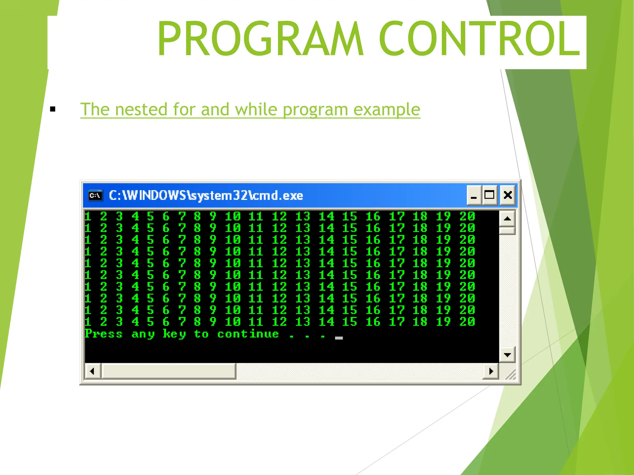 PROGRAM CONTROL  The nested for and while program example 