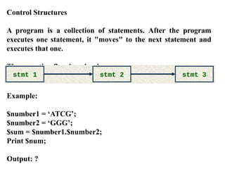 TYPES OF CONTROL STRUCTURES SEEN IN PERL.ppt | Programming Languages ...